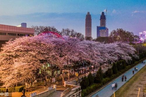 抖音网红警花吃瓜,抖音网红警花的趣味日常揭秘